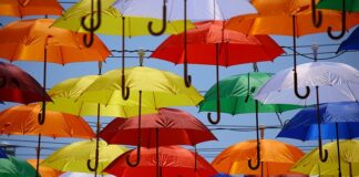 Czy kreatywność i pomysłowość to to samo?