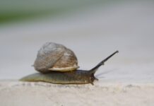 Jak panować nad sobą?