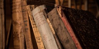 Kto zarządza systemem edukacji w Polsce?