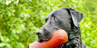 Jak odzyskać uczucia i emocje?