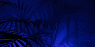 Czy opłaca się być w PPK?