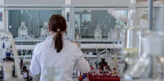 Kto musi mieć badanie biegłego rewidenta?