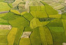 Jak przestać bać się myśli?