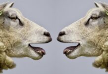 Jak się z kimś kłócić?