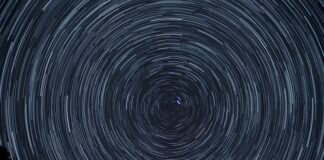 Jak obliczyć obrót firmy wzór?