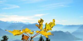 Od jakiej kwoty komornik może zająć mieszkanie?