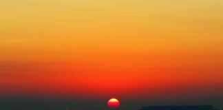 Czy warto zapisać się do PPK w wieku 50 lat?