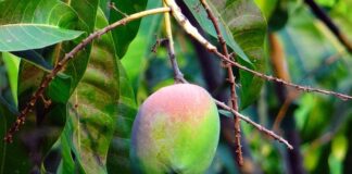 Kiedy jest się dojrzałym?