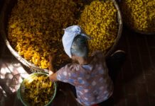 Jakie są elementy procesu decyzyjnego?