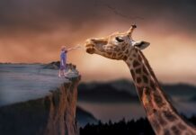 Jak przestać żyć w leku?