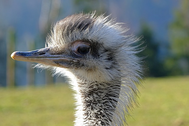 Co zrobić żeby szybciej myśleć? Co zrobić żeby szybciej myśleć?