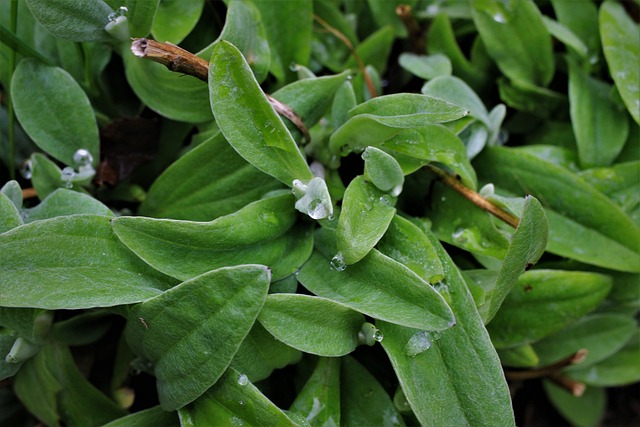 Jak pogodzić zespół? Jak pogodzić zespół?