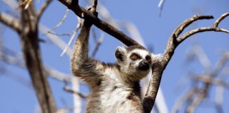 Jak reagować na złe zachowanie dziecka?