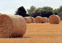 Jaka jest rola matki i ojca w wychowaniu dziecka? Jaka jest rola matki i ojca w wychowaniu dziecka?