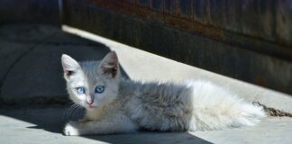 Jak się nie stresować wszystkim?