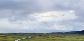 Po czym poznać osobę samotna?