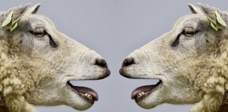 Jak się nie kłócić w pracy?