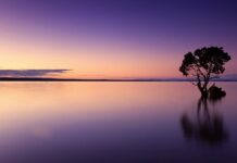 Czy samotność prowadzi do depresji?