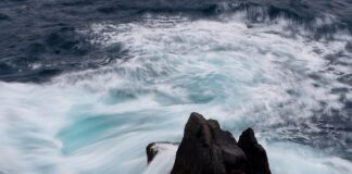 Jaki format wideo ma najlepszą jakość?