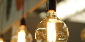 Jakie czynniki decydują o efektywności selekcji?