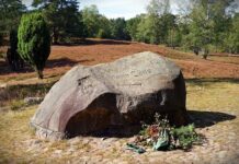 Jak długo organizm oczyszcza się z antydepresantów?