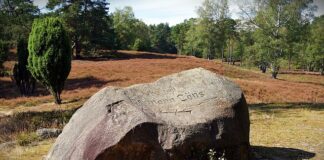 Jak długo organizm oczyszcza się z antydepresantów?