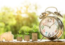 Jak sprawdzić zysk firmy?