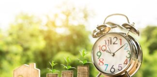 Jak sprawdzić zysk firmy?