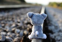 Jak znaleźć przyjaciela po 50 tce?