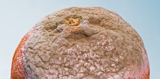 Jakie są formy wspierania przez przedszkole szkole rodziców w wychowaniu dzieci?