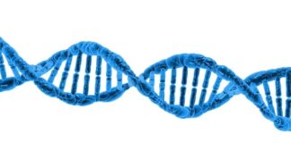 Co to jest renderowanie w grze?