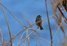 Jak szukać rozwiązań?