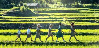 Czy biegły rewident może być głównym księgowym?