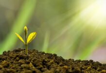 Czym jest rozwój produktu?