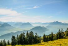 Kiedy komornik umarza długi?