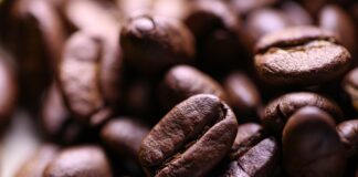 Co grozi za brak raportu dobowego?