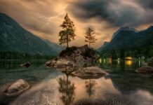 Co to jest KZ w kosztorysie?