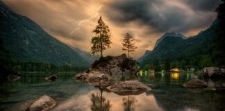 Co to jest KZ w kosztorysie?