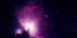 Jaki to jest czarny humor?