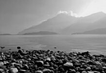 Ile kosztuje opracowanie polityki rachunkowości?